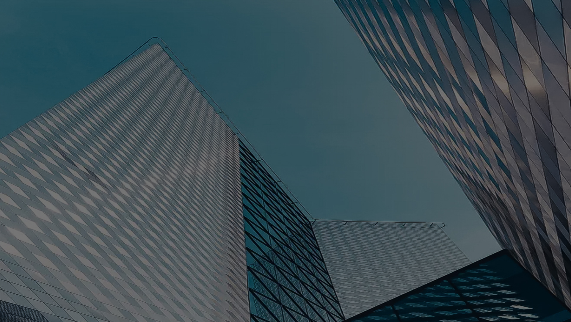 我们的合作伙伴